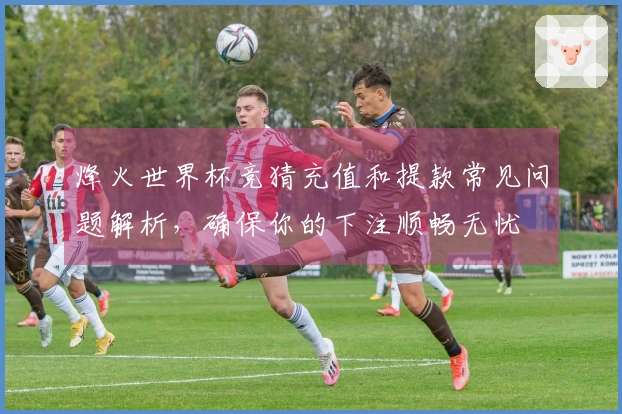 烽火世界杯竞猜充值和提款常见问题解析，确保你的下注顺畅无忧