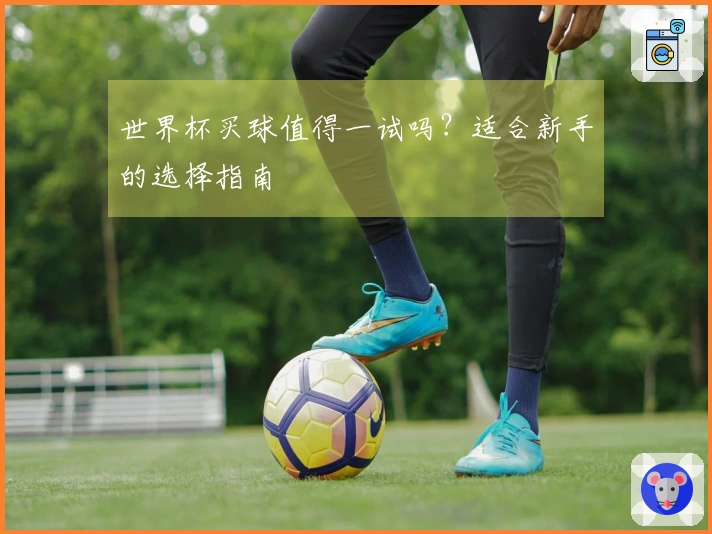 世界杯买球值得一试吗？适合新手的选择指南