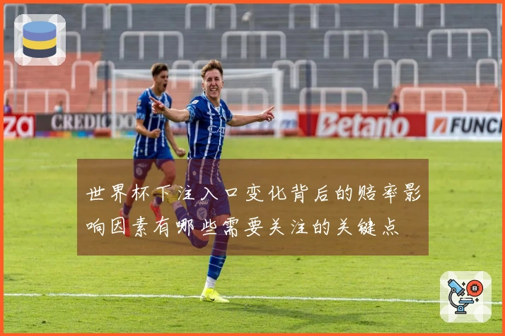 世界杯下注入口变化背后的赔率影响因素有哪些需要关注的关键点