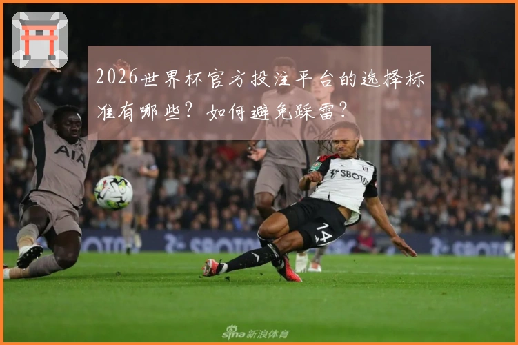 2026世界杯官方投注平台的选择标准有哪些？如何避免踩雷？